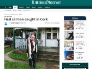 THE LAST CAST: First salmon caught in Cork, Leitrim Observer First salmon caught in Cork