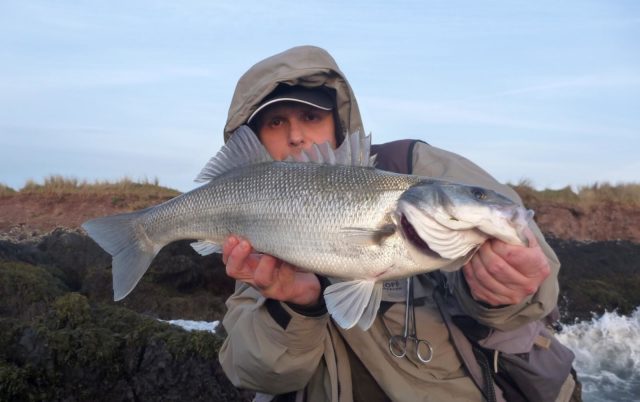 a very round bass