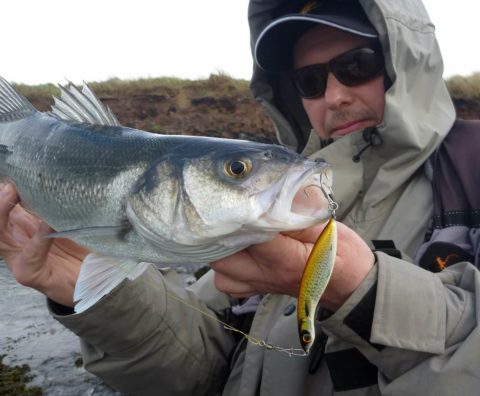 Bass with lure in its mouth
