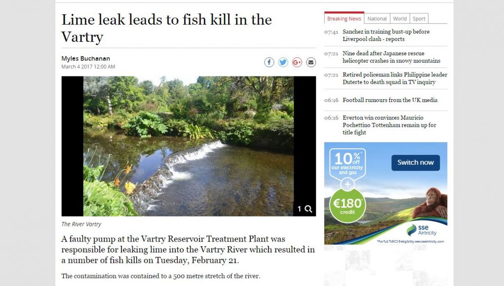 Lime leak leads to fish kill in the Vartry