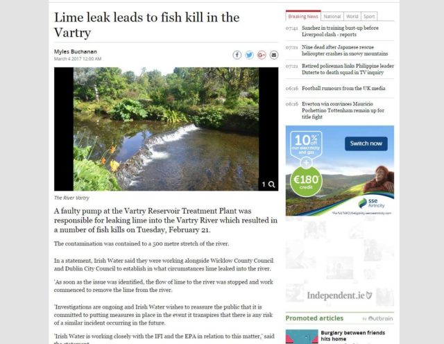 Lime leak leads to fish kill in the Vartry