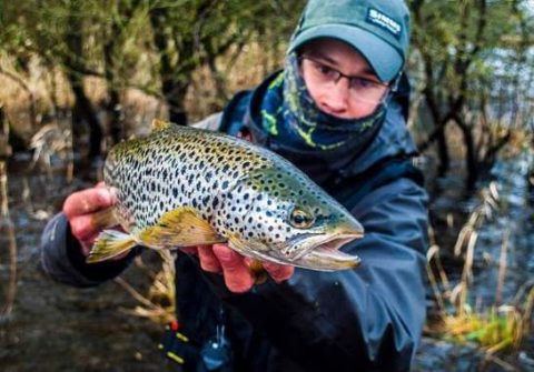 Christopher Defillon holding a beautiful wild trout from Lough Sheelin, March 20th 