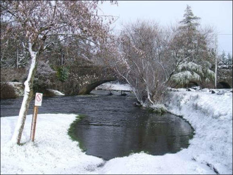 Finea, Lough Sheelin, March 21st 2017