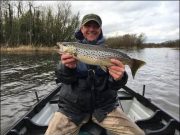 Irish Angling Update – August 3rd, 2018. Happiness is a trout from Lough Sheelin – Andrius from Lithuanian fishing club Go&Catch with his fish