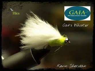 Cats Whisker - Kevin Sheridan