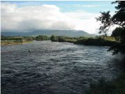 No salmon from Laune or lakes, fishing expected to improve following rain what 3.5 Feet on the gauge at Johnston's looks like.