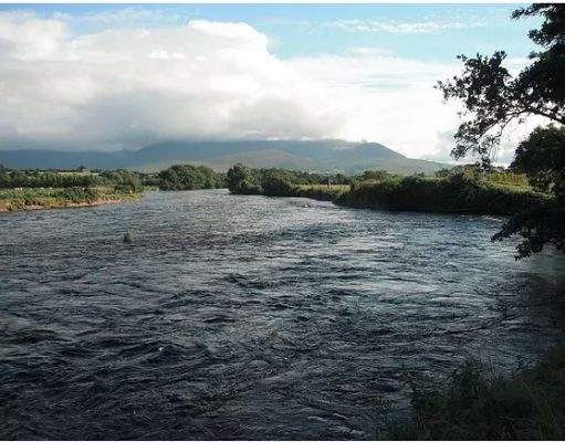 No salmon from Laune or lakes, fishing expected to improve following rain what 3.5 Feet on the gauge at Johnston's looks like.