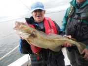 Tom gets a 11.5lb cod at Kilmore Quay competition 11lb cod