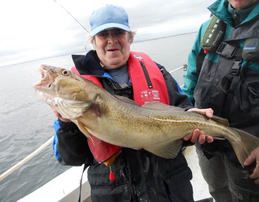 11lb cod