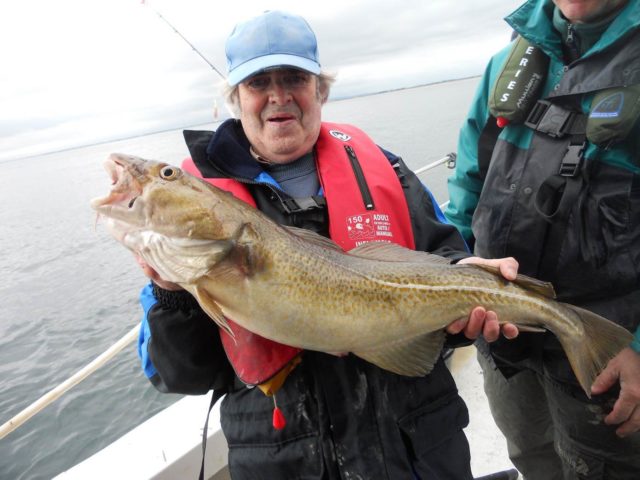 11lb cod