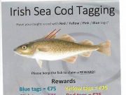 Irish Sea Cod Tagging Project Tagging project poster
