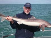 More great charter boat fishing from Wicklow John
