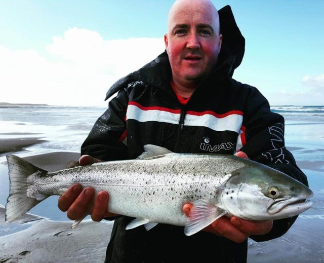 sea trout trout