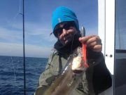 Galway Bay fishing well from boat and shore pollack