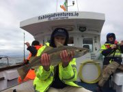 Some decent pollack and ling about for charter boat anglers off clare coast Pollack