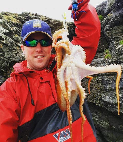 Octopus