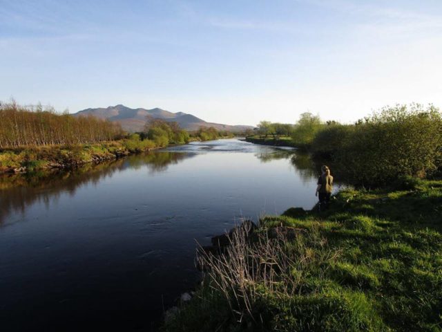 Bright day on the Laune