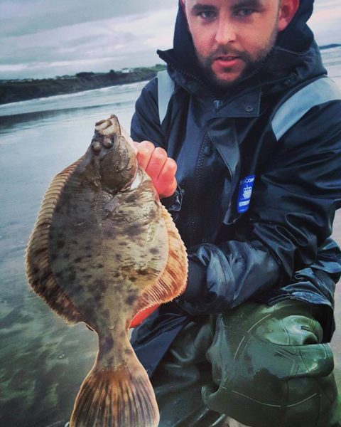 Flounder