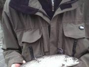 Laune low, just a few sea trout reported Kevin Walker; sea trout over 1 lb.
