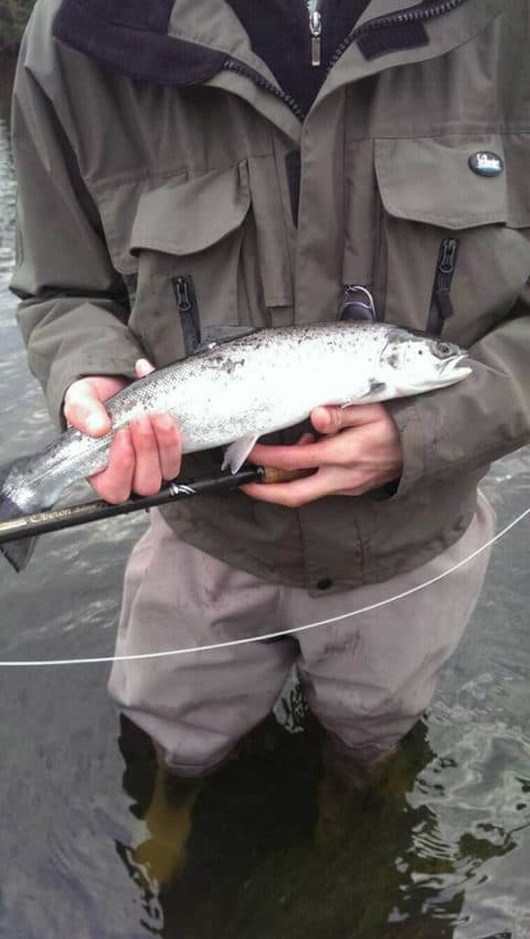 Kevin Walker; sea trout over 1 lb.