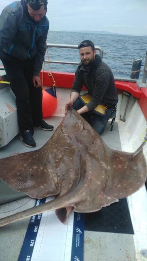 Ben's 188lb skate from today, not quite a record but a fantastic specimen fish