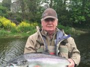 A few salmon in the Bandon and water to come salmon