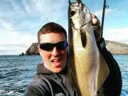 Donegal shore anglers enjoy more great sport Pollack