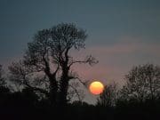Irish Angling Update – 20 April 2017 Lough Sheelin’s ‘Pink Moon’