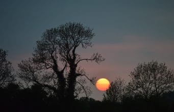 Lough Sheelin’s ‘Pink Moon’