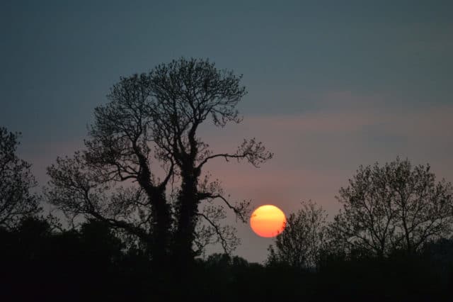 Lough Sheelin’s ‘Pink Moon’