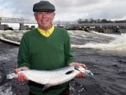 He's done it again! Dave lands the first salmon in Galway Dave Lenihan, Knocknacarra landed the first salmon of the season a fine fresh Salmon weighing 6.5lbs & was caught on a shrimp in Jimmy’s Pool on Thursday. . Photo: Joe Travers