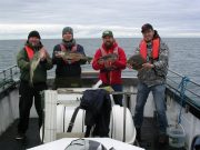 German anglers enjoy day out on Killala Bay!