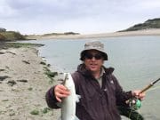 Mullet on fly at West Cork venues Mullet caught on fly