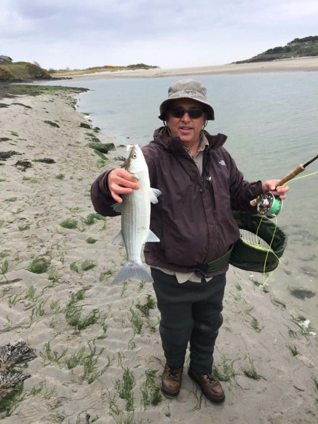 Mullet caught on fly