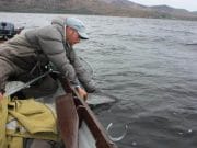 Busy on Currane over Easter, 7 salmon reported Salmon being released by Mr. Matthew Solon with his Gillie Mr. Neil O’Shea of www.oshealoughcurrane.com