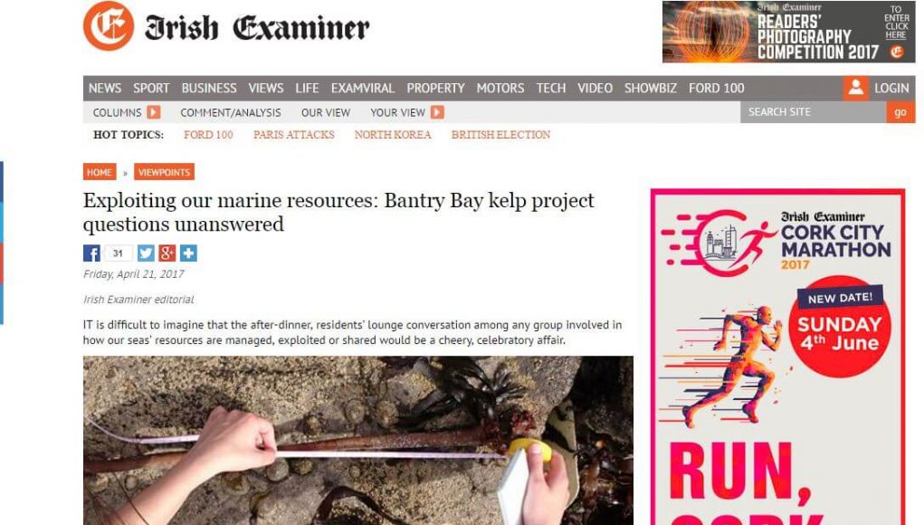 Exploiting our marine resources: Bantry Bay kelp project questions unanswered