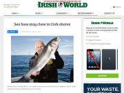 Sea bass stay close to Cork shores, The Irish World Sea bass stay close to Cork shores