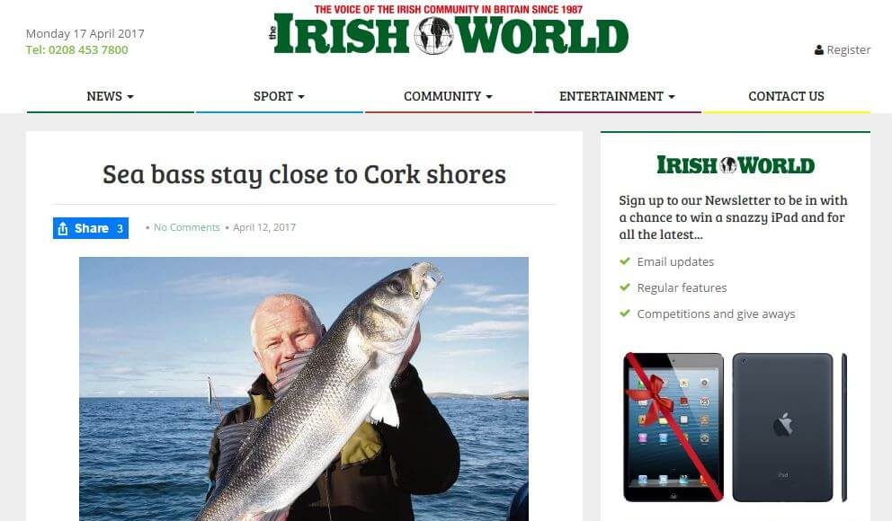Sea bass stay close to Cork shores