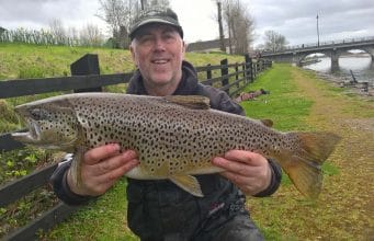 9lb trout