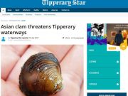 Asian clam threatens Tipperary waterways, Tipperary Star Asian clam threatens Tipperary waterways