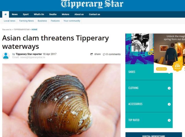 Asian clam threatens Tipperary waterways