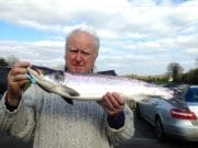 Moy anglers report 29 salmon for the last week Angler poses with a salmon