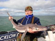 Wicklow Boat Charters bumper specimen spur haul Last but no least -Christy Lane