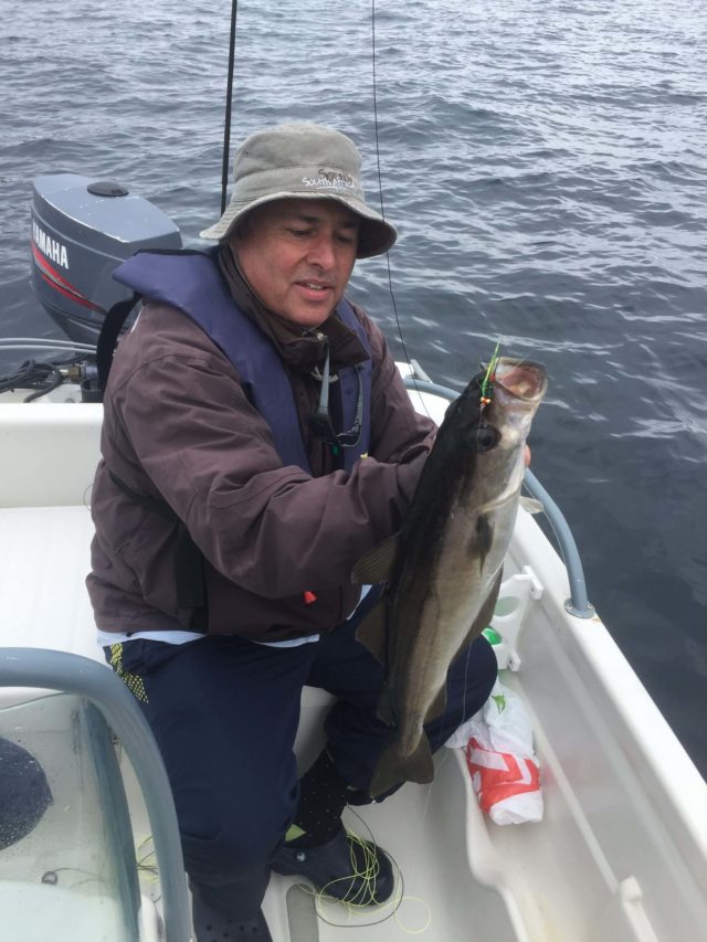 Pollack on fly