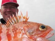 Fun,fish and brilliant weather for German family at Valentia Bluemouth