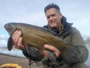 Good fish at Lanesborough but cold snap took its toll Larry Kelly had this, his biggest unweighed Tench on Monday