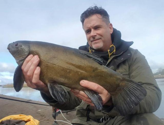 Larry Kelly had this, his biggest unweighed Tench on Monday