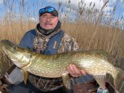 Not all easy but pike to over 20lb landed at midlands lakes pike