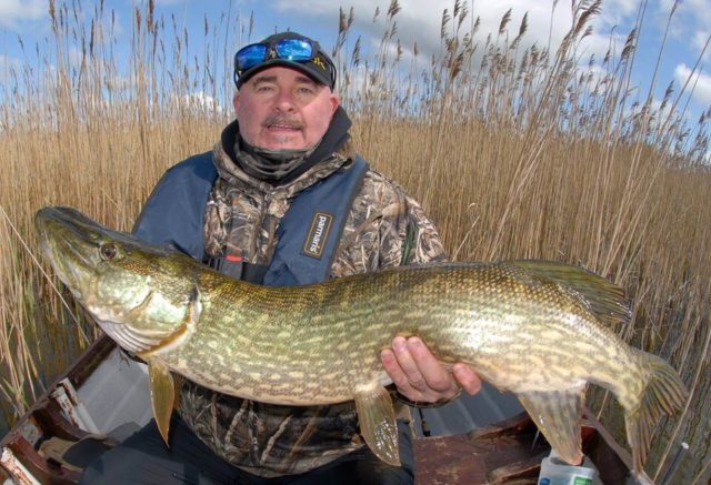 pike
