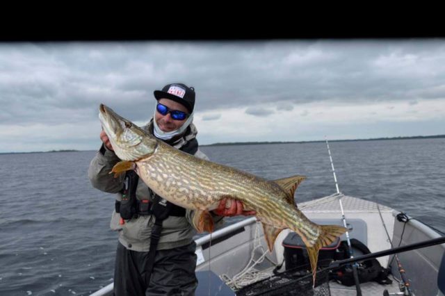 Lough ree pike